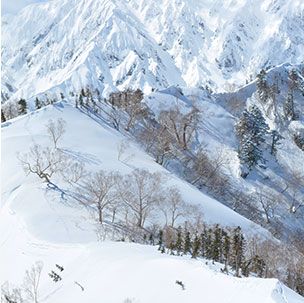 白馬の壮大な自然